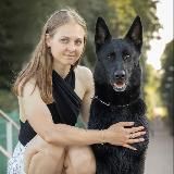 pawsitive vibes 🐾