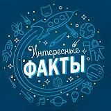 Интересные факты 🔎