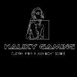 HALIKY GAMING