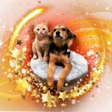 Пенаты дружок Липецк Chat