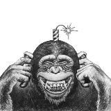 Идиот на идиоте!