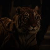 ⌯۰ ۪۫𝘷𝘦𝘬𝘴