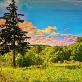 Путь к мечтам