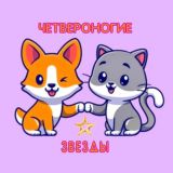 ЧЕТВЕРОНОГИЕ ЗВЁЗДЫ