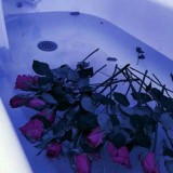 Рози гибнут🥀🥀🥀😈