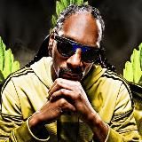 Выращивание марихуаны конопли МАРИХУАНА