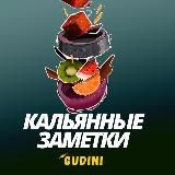 Кальянные Заметки Gudini