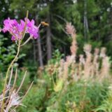 Тайные знания со скидкой