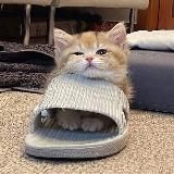 СТИКЕРЫ ДЛЯ ДИАЛОГОВ