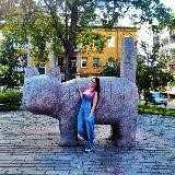 Коты в географии