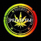 ГРОУРЕПОРТЫ. КУРС МОЛОДОГО ГРОВЕРА