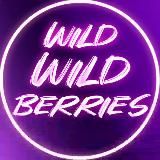 Wild Wild🫐Berries