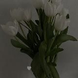 ~✨ Easthetic 🦋~🌼