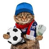 SuperKot - Analytics Bets💰💸