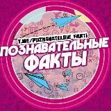 Познавательные факты