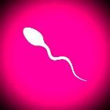 Владислав Пономарев