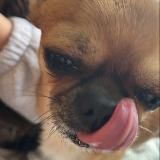 Бурмалданыч