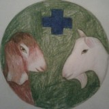 КАНАЛ "ВСЕ О КОЗАХ и не только" 🚑🐐🐑🐄🦙🐫🦃🐖🐓🦆