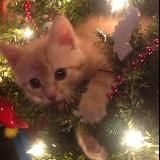 🏮κᥲннᥲ ᴦᴧᴀᴦᴏᴧьᴄᴛʙуᴇᴛ🍁