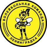 Волейбольная команда «Ленинградка»