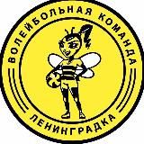 Волейбольная команда «Ленинградка»
