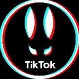 Про ТИКТОК