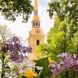 КультPROсвет экскурсии и лекции