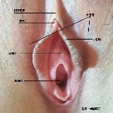 萝莉|福利姬资源收藏库🔥🔥🔥