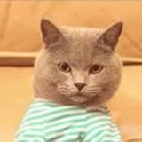 🚀халявные промокоды - Standoff2🚀