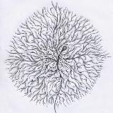 Mycelium Extraordinaire