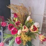 🐰Зайчики🐰