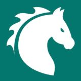 Лошади Купля-продажа