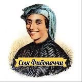 Сын Фибоначчи