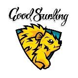 Goodsurfing.Job - выездная сезонная работа