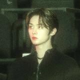 𝘤𝘶𝘵𝘴 𝘸𝘪𝘵𝘩 𝘚𝘵𝘳𝘢𝘺 𝘬𝘪𝘥𝘴