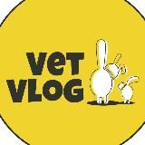 VetVlog Ветеринарная ОНКОЛОГИЯ и не только👨🏻‍⚕️