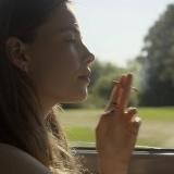 тесты *:・゚✧