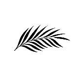 ATMOSPHERный CHANNEL