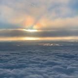 ✨🌿 Naira Vision ✨