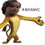 FL4MUS official page