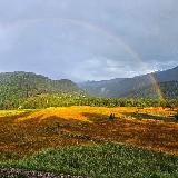 Энциклопедия Сванети