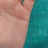 Микрокосмос