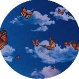 SELFIN|Дизайн🎨