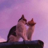 Чат 💖 Ульск!