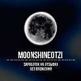 MOONSHINE 💸 заработок на отзывах