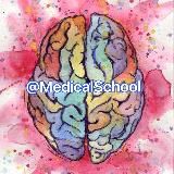 cardiovascular surgeon