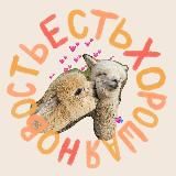 Есть хорошая новость