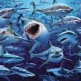 Политшапито.