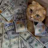 Проект "Ставки с Арсением"