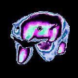 ЕВДОКИМск 🫡